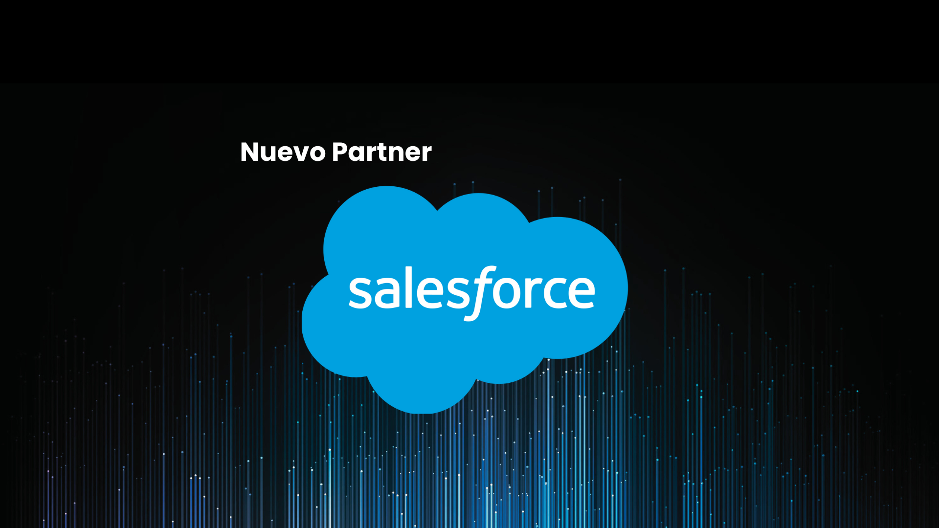 partner saleforce